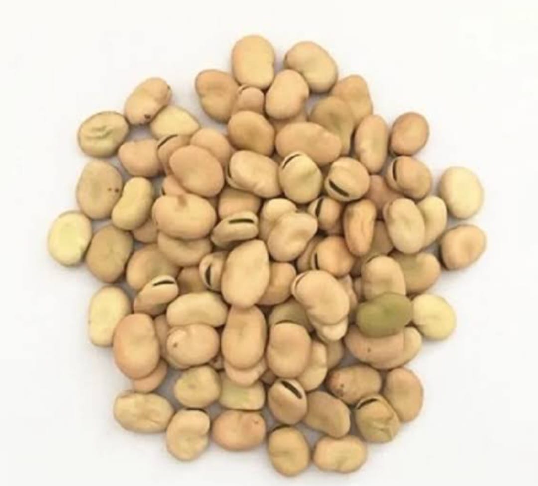 bean